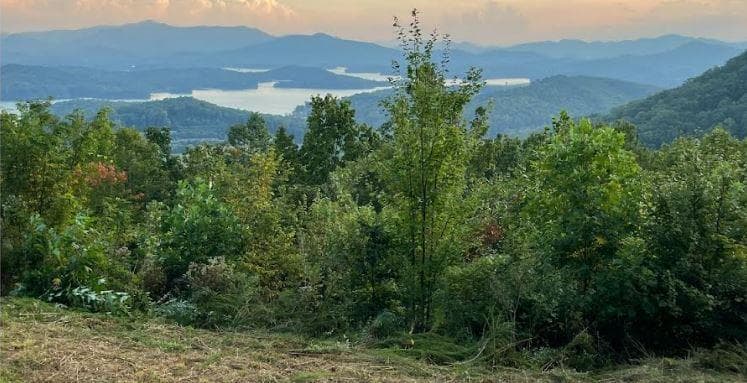 Lot 14 Bell Lake View, Hayesville NC 28904 - Photo