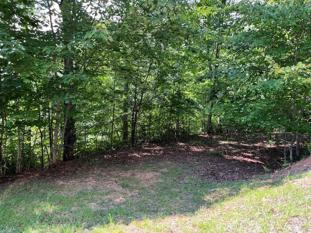 Lot 24 Double Knob Drive E, Hayesville NC 28904 - Photo
