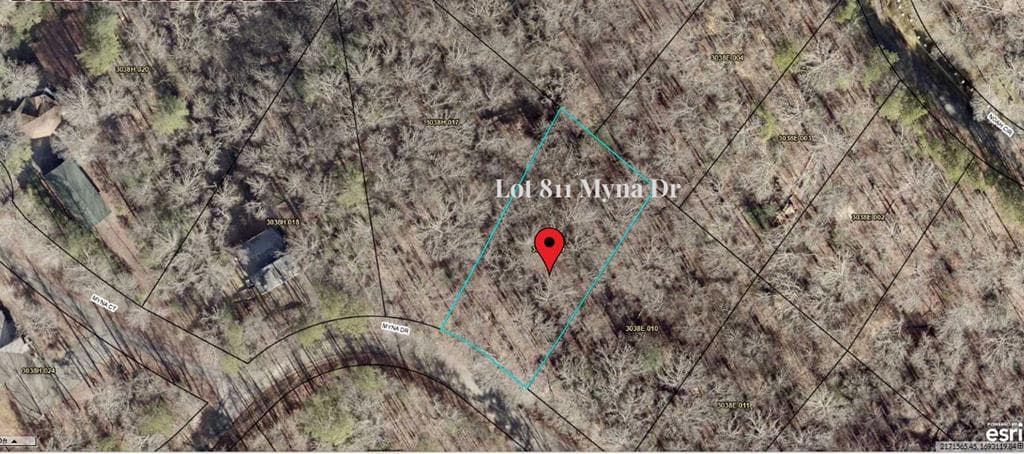 L811 Myna Drive, Ellijay GA 30540 - Photo
