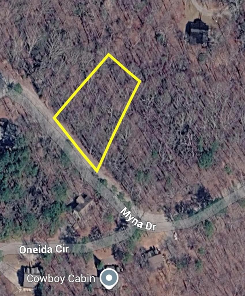 L811 Myna Drive, Ellijay GA 30540 - Photo