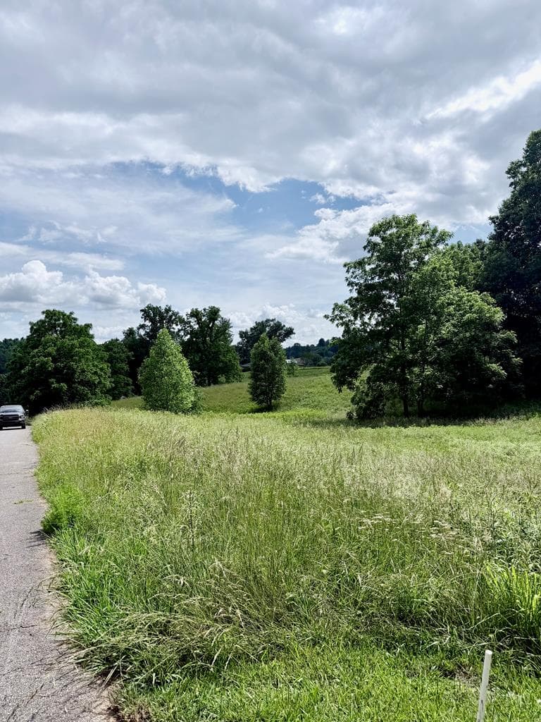 Lot 4 Chatuge Shores Overlook, Hayesville NC 28094 - Photo