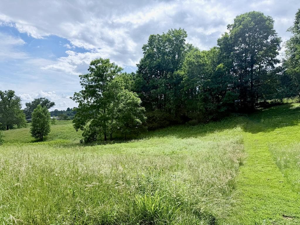Lot 4 Chatuge Shores Overlook, Hayesville NC 28094 - Photo