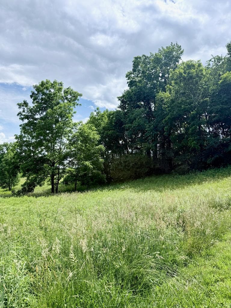 Lot 4 Chatuge Shores Overlook, Hayesville NC 28094 - Photo