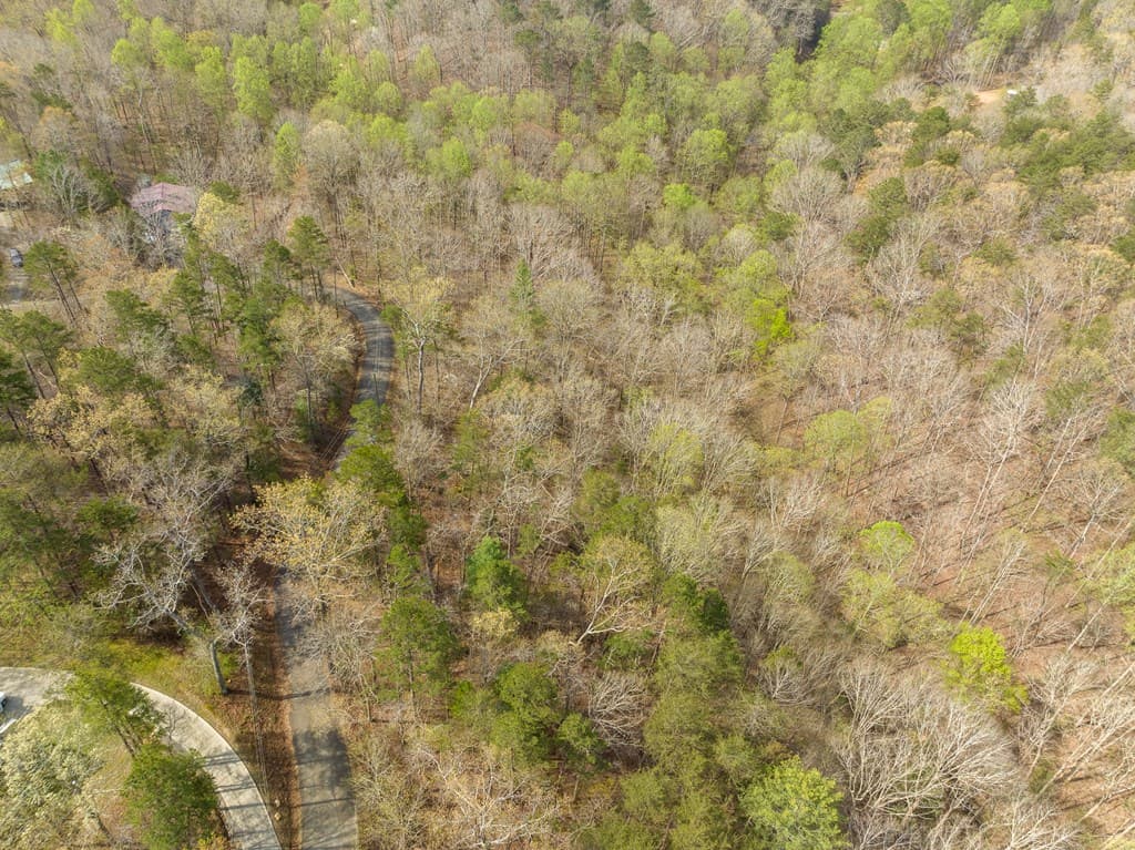 1162 Spalding Circle, Ellijay GA 30540 - Photo