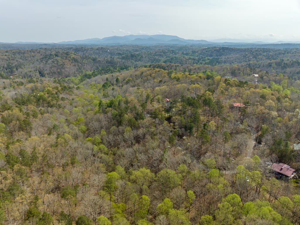 1162 Spalding Circle, Ellijay GA 30540 - Photo