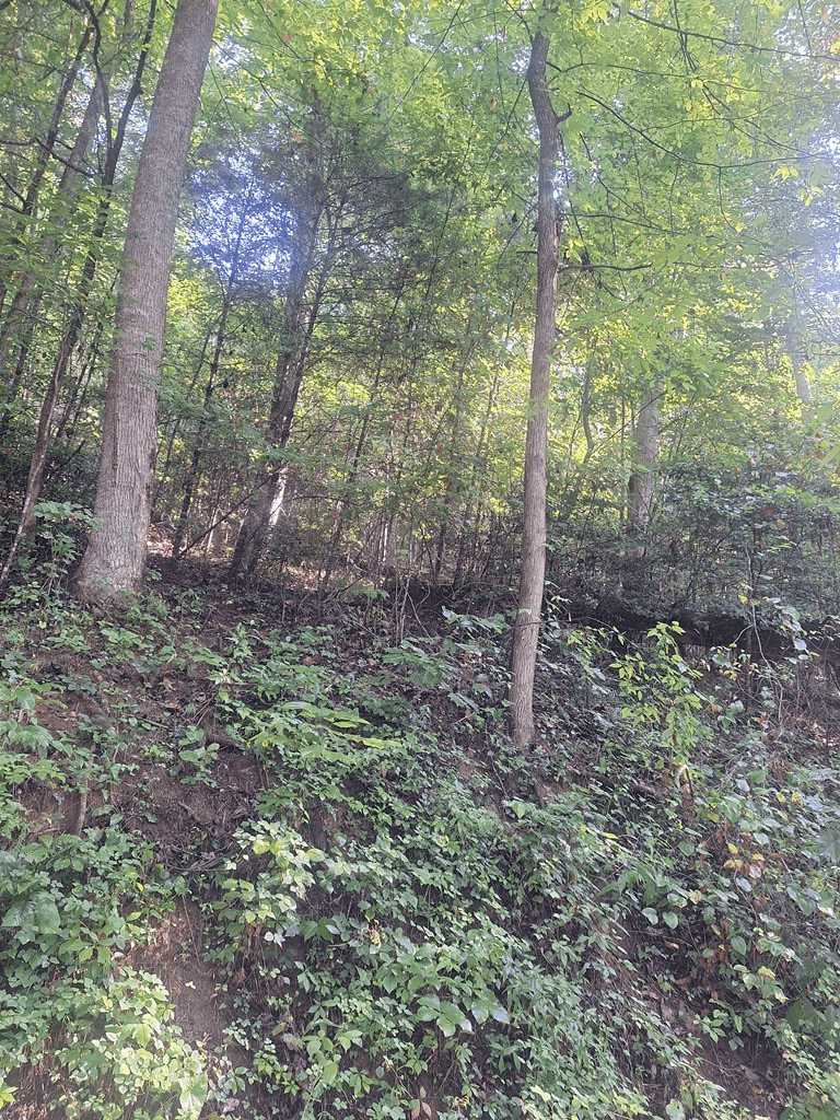 0 Coopers Creek, Suches GA 30572 - Photo