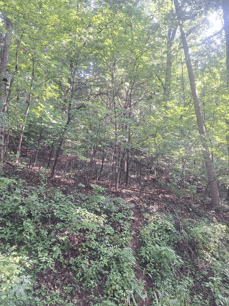 0 Coopers Creek, Suches GA 30572 - Photo