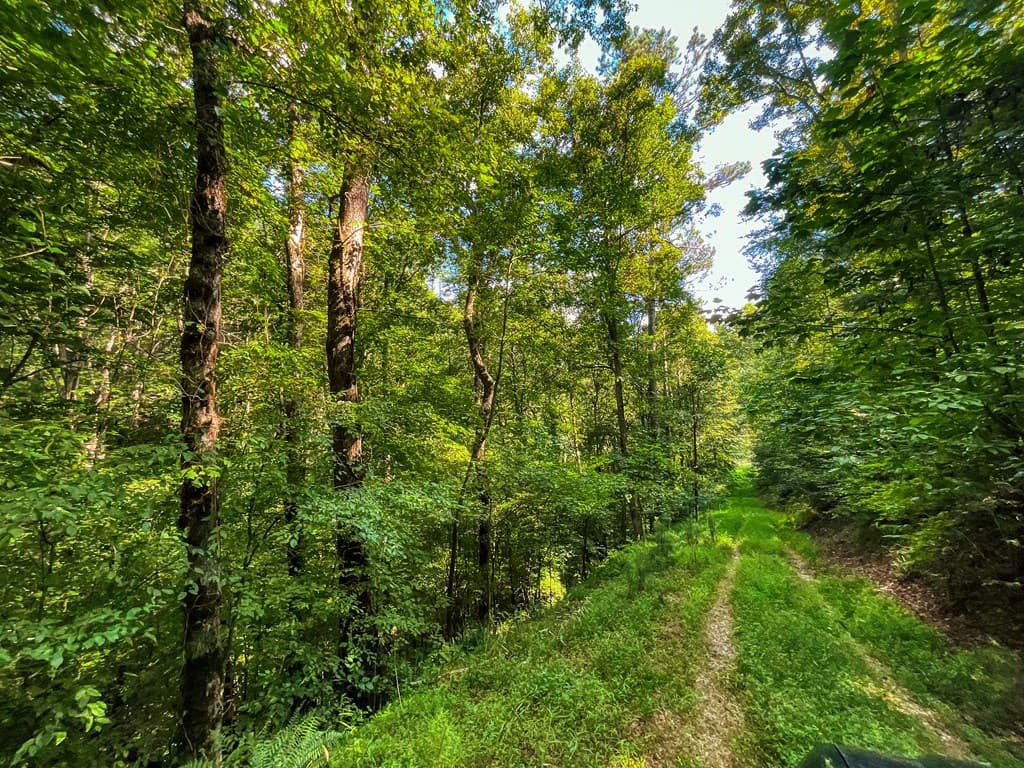 241 AC Legion Road, Ellijay GA 30540 - Photo