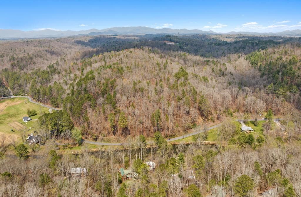 241 AC Legion Road, Ellijay GA 30540 - Photo