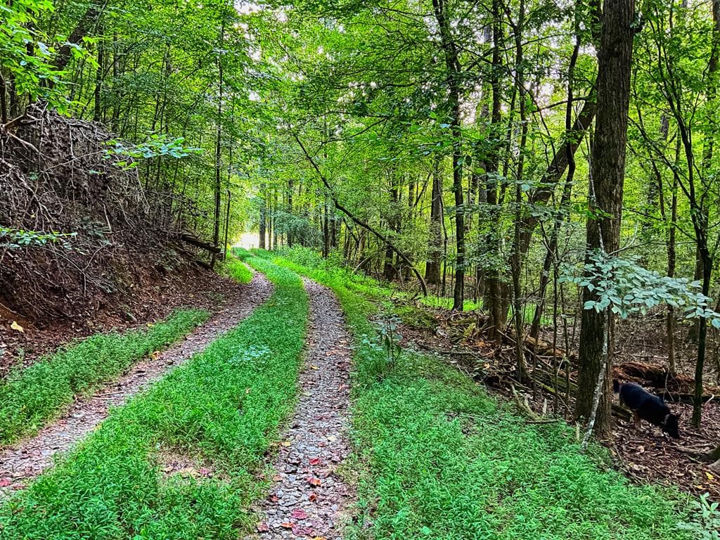 241 AC Legion Road, Ellijay GA 30540 - Photo