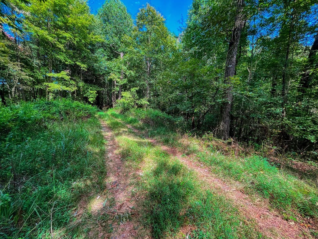 241 AC Legion Road, Ellijay GA 30540 - Photo