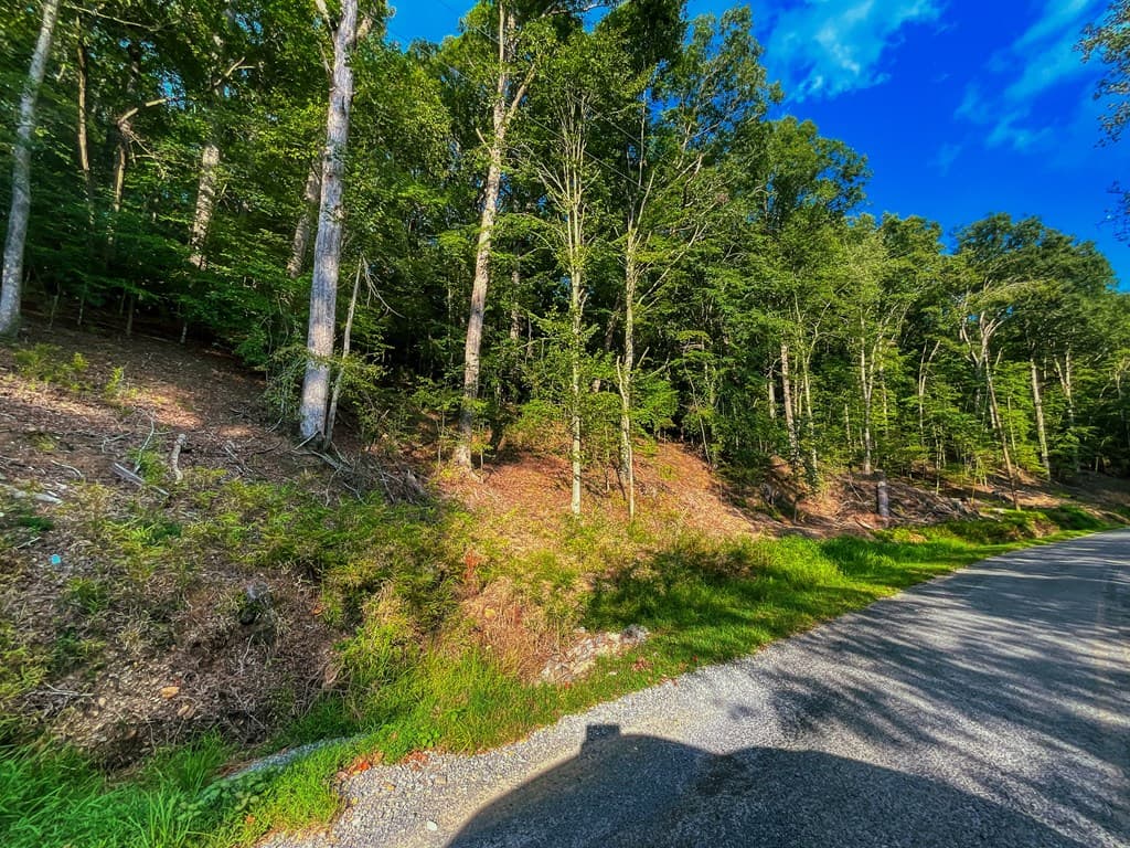 241 AC Legion Road, Ellijay GA 30540 - Photo