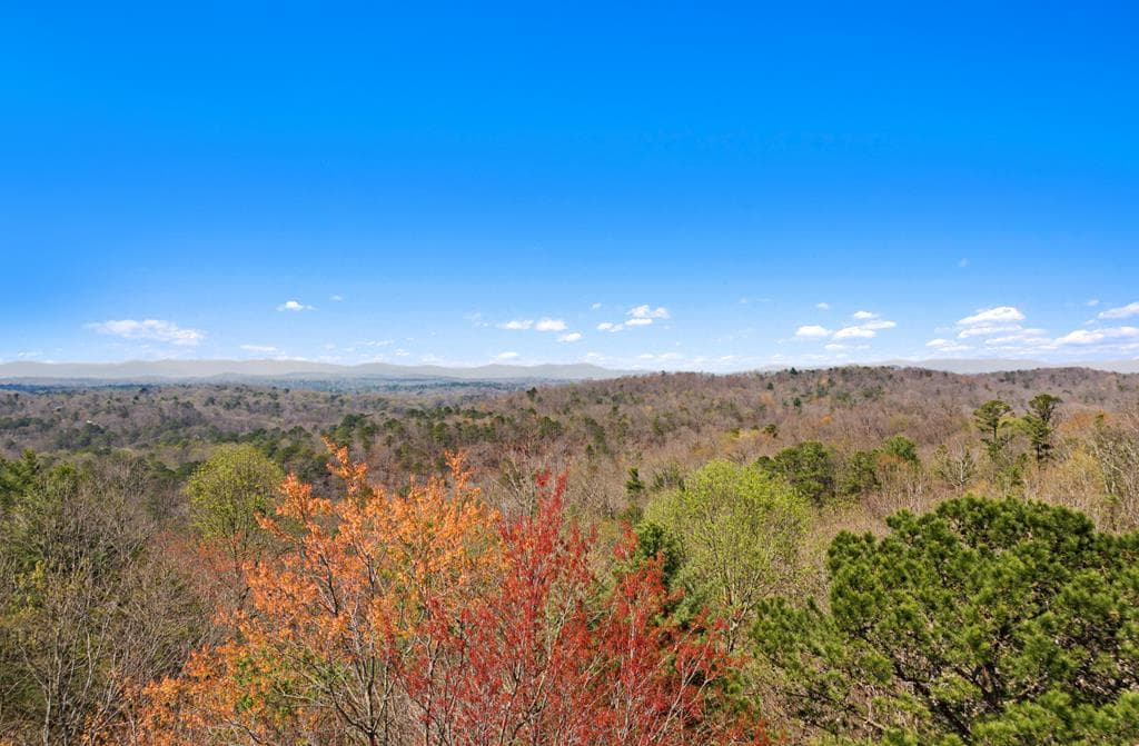 241 AC Legion Road, Ellijay GA 30540 - Photo