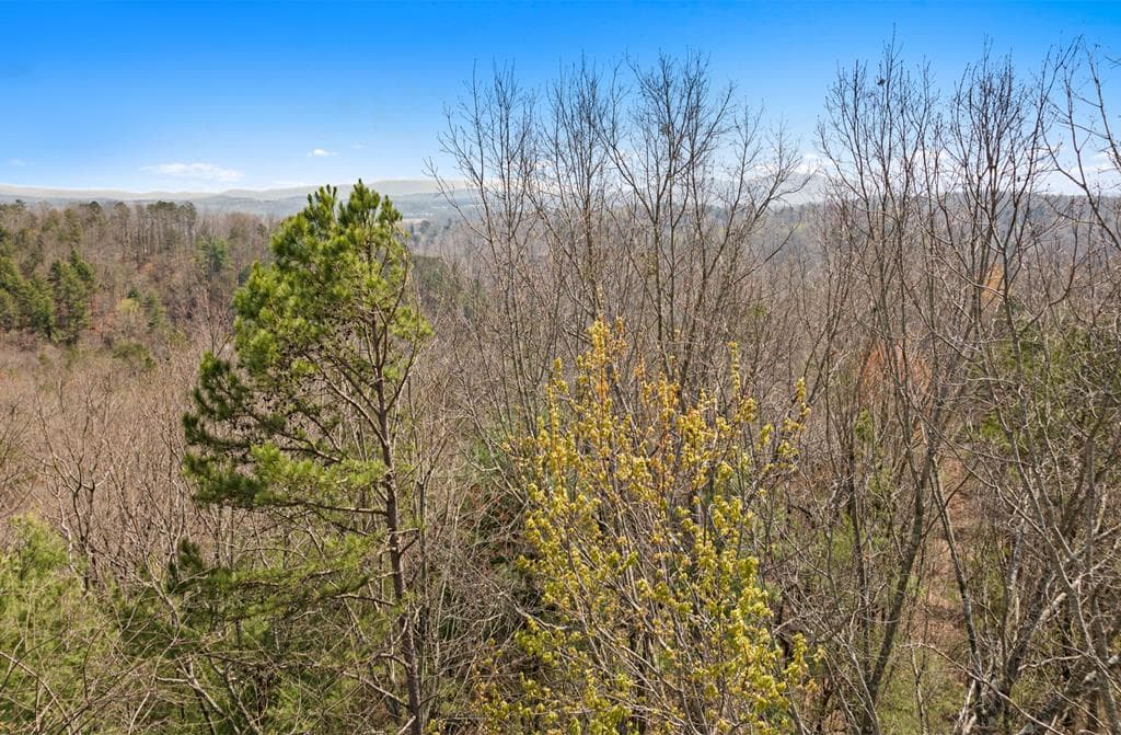 241 AC Legion Road, Ellijay GA 30540 - Photo