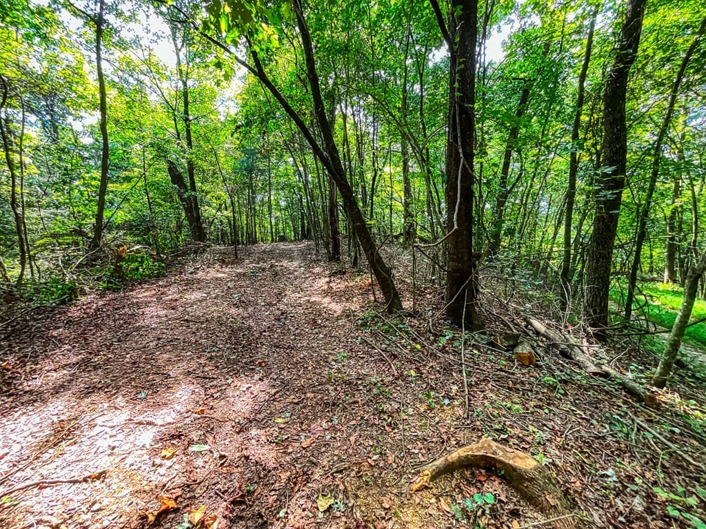 241 AC Legion Road, Ellijay GA 30540 - Photo