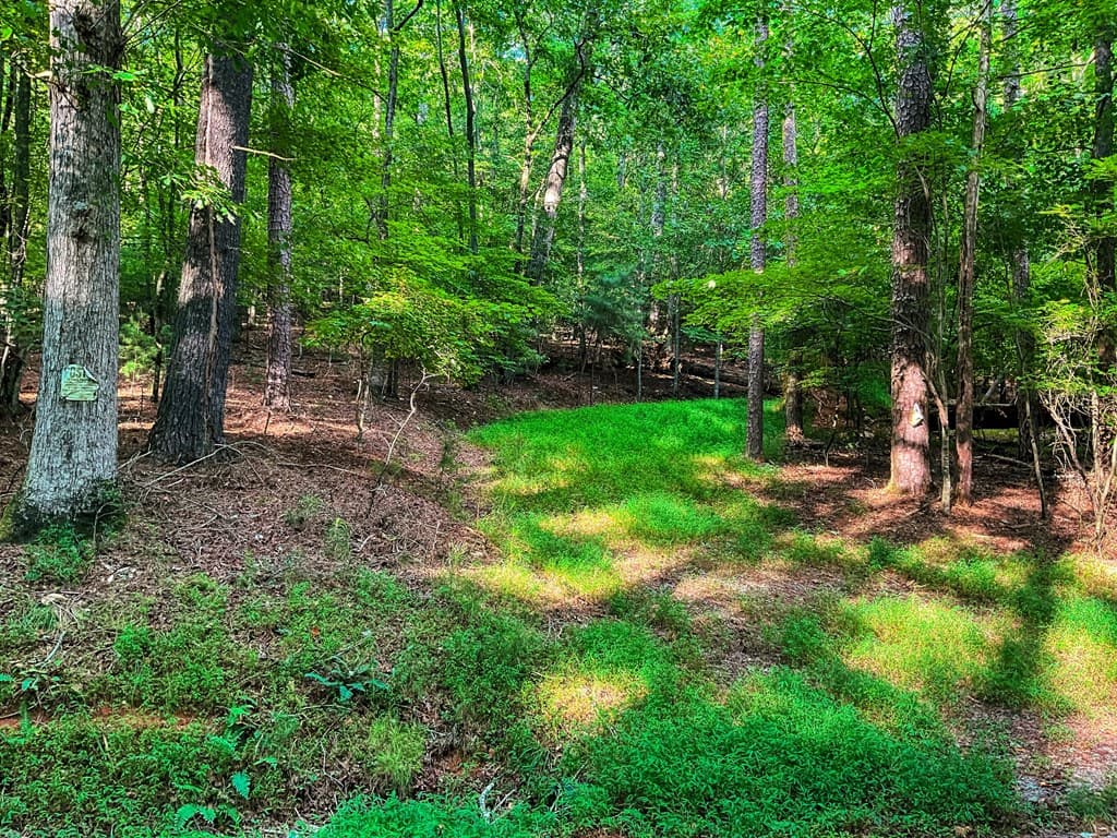 241 AC Legion Road, Ellijay GA 30540 - Photo