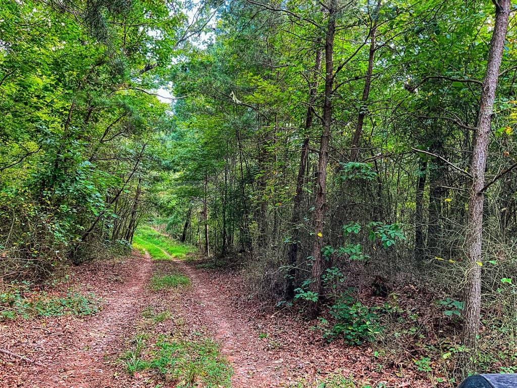 241 AC Legion Road, Ellijay GA 30540 - Photo