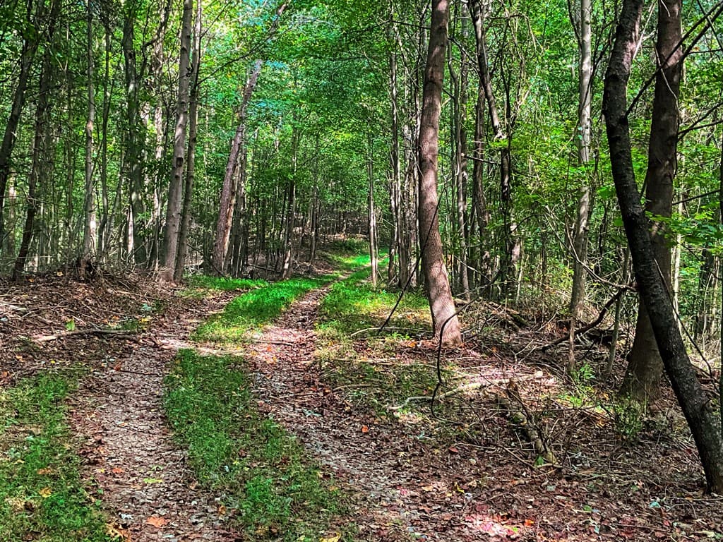 241 AC Legion Road, Ellijay GA 30540 - Photo