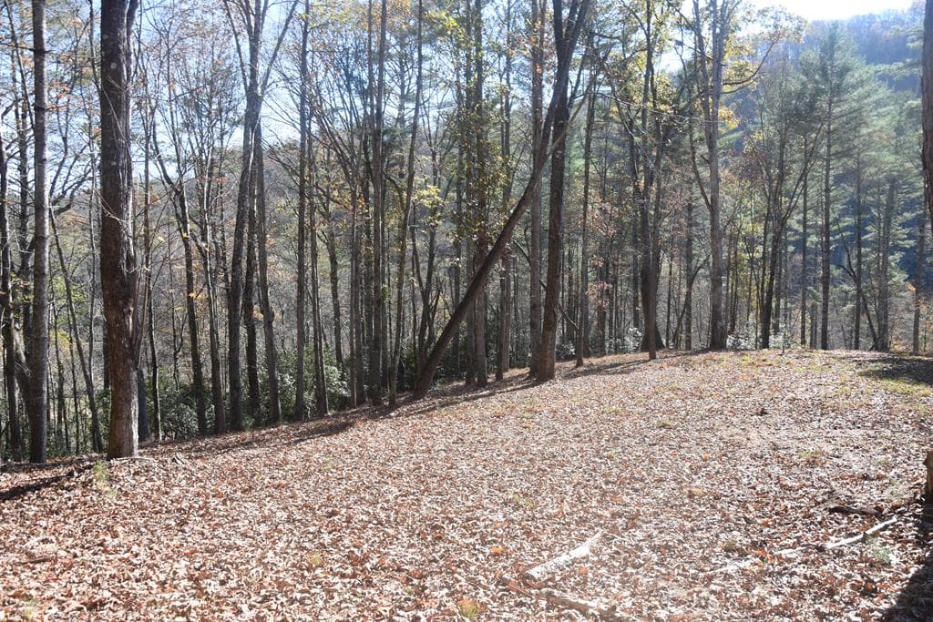 296 Caddis Trail, Hayesville NC 28904 - Photo