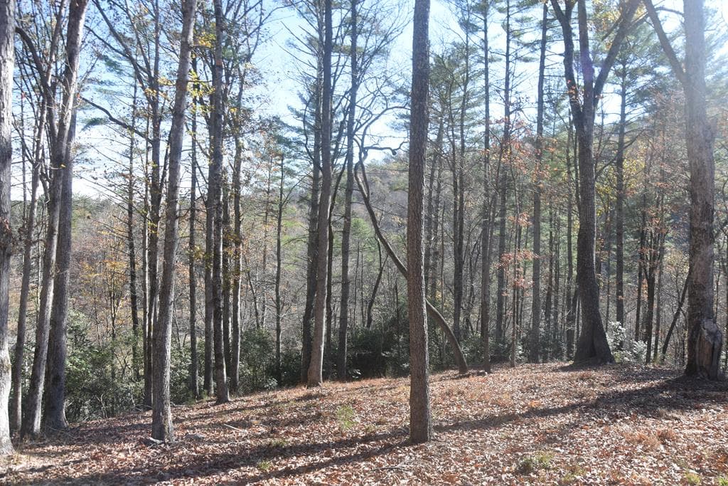 296 Caddis Trail, Hayesville NC 28904 - Photo