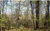 0 Whispering Creek Drive, Mineral Bluff GA 30559 - Photo