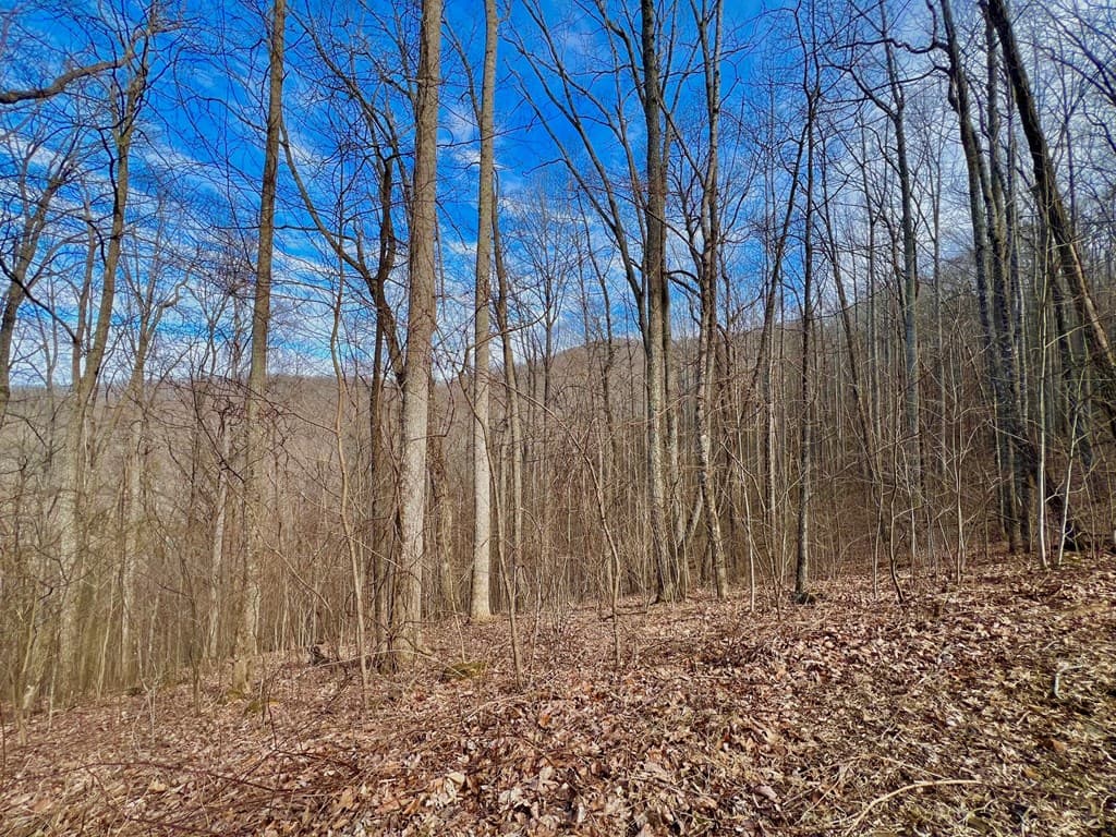 57 Rocky Knob Estates, Young Harris GA 30582 - Photo