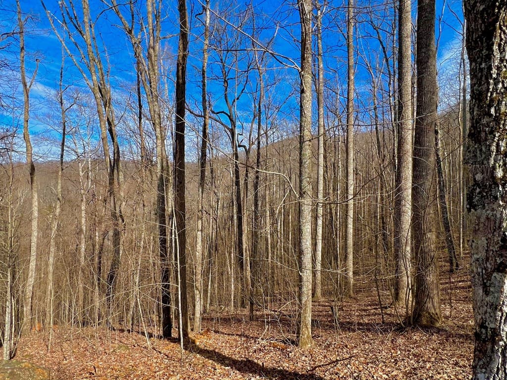 57 Rocky Knob Estates, Young Harris GA 30582 - Photo