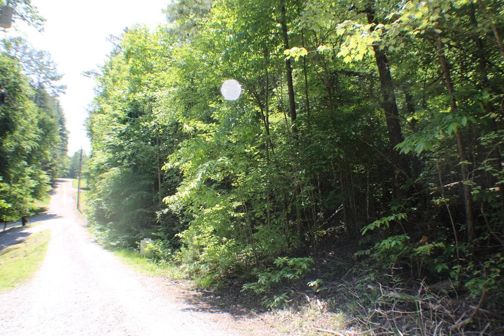 Lot #17 Sunset Road, Epworth GA 30541 - Photo
