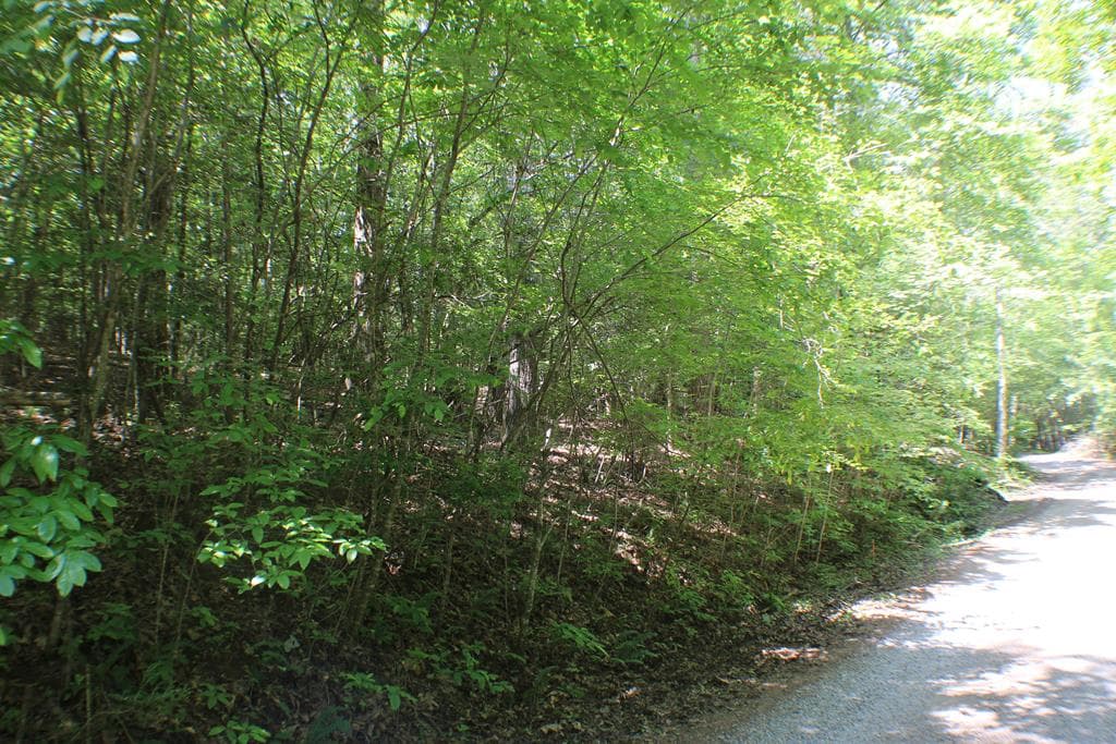 Lot #17 Sunset Road, Epworth GA 30541 - Photo