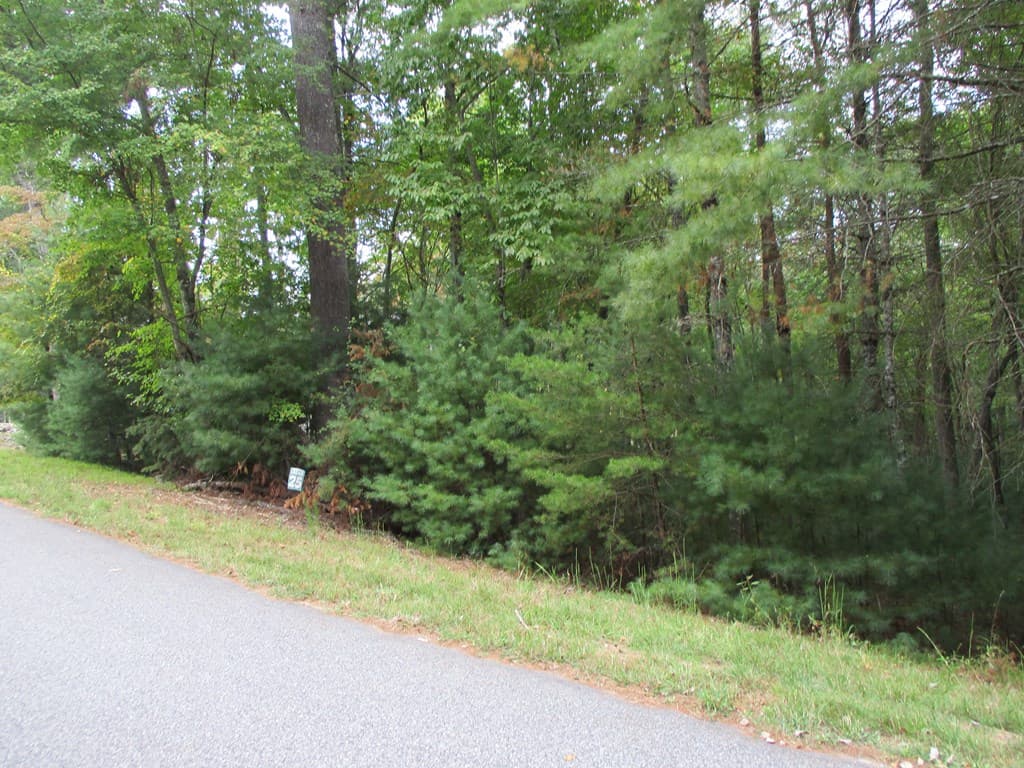 Lot 25 Byers Road, Blairsville GA 30512 - Photo