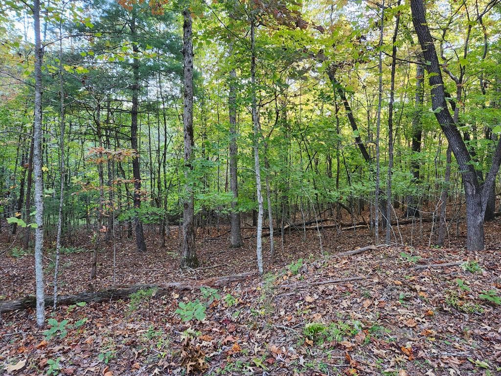 0 North View Trail, Mineral Bluff GA 30559 - Primary photo