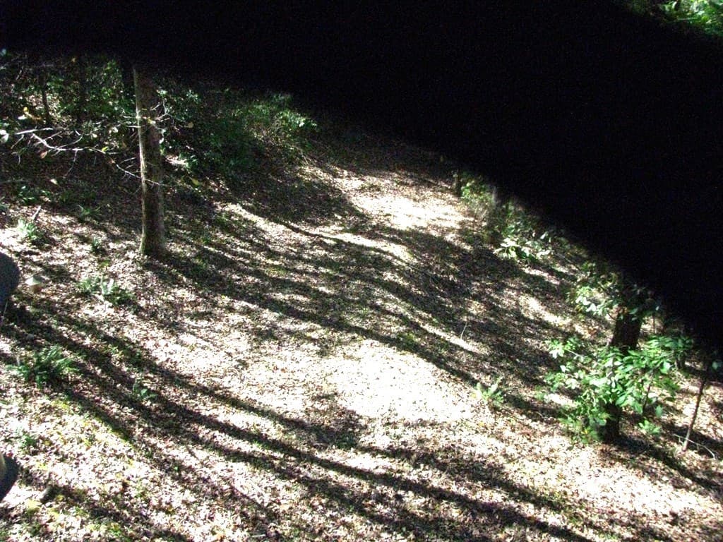 2520 Road 4748, Hiawassee GA 30546 - Photo