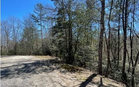 Lot 6 Willow Ridge, Warne NC 28909 - Photo