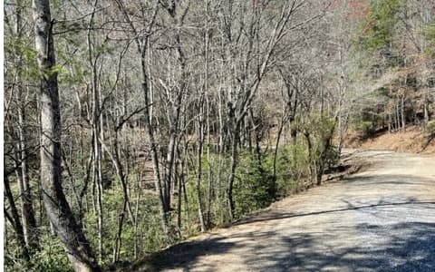 Lot 6 Willow Ridge, Warne NC 28909 - Photo