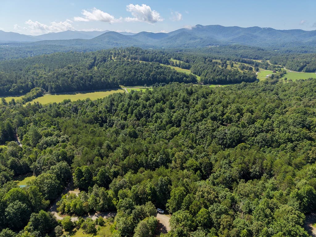 Lot 6 Willow Ridge, Warne NC 28909 - Photo