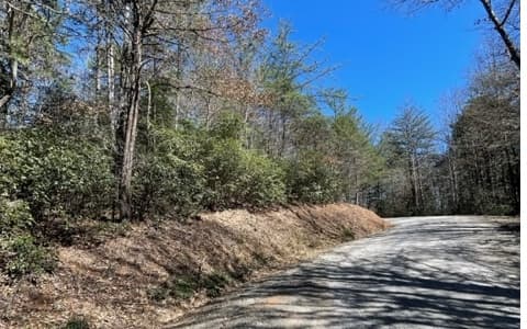 Lot 6 Willow Ridge, Warne NC 28909 - Photo