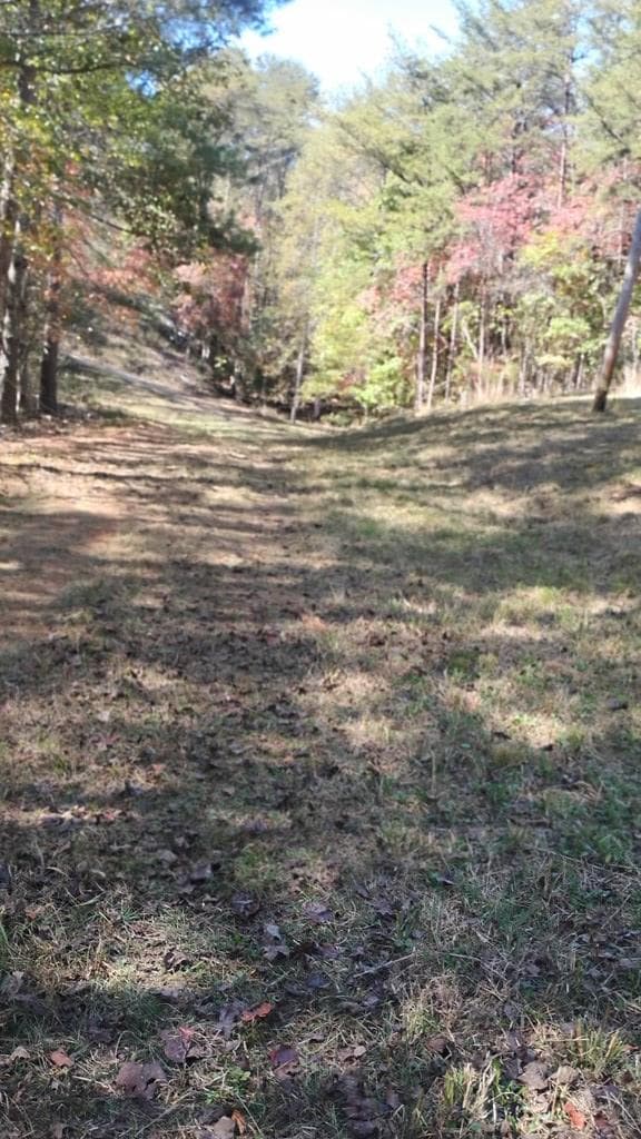 00 Rizzitello Lane, Blairsville GA 30512 - Photo