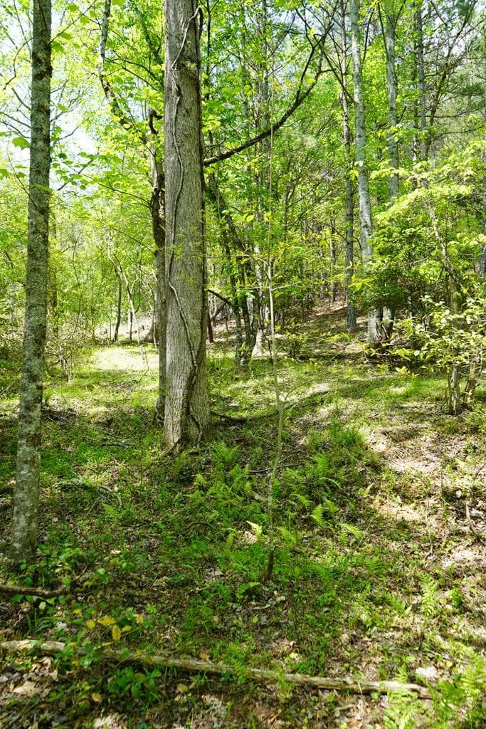 00 Rizzitello Lane, Blairsville GA 30512 - Photo