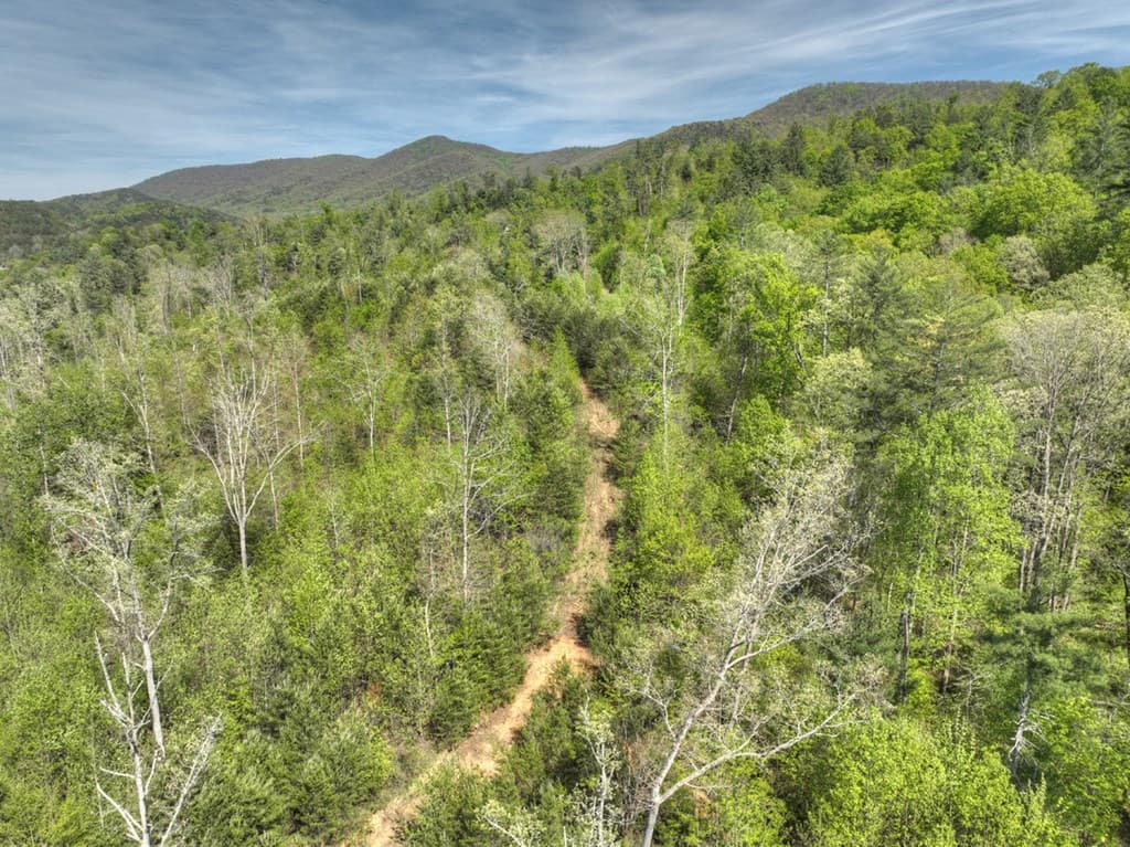 138.06AC N Hwy 515, Ellijay GA 30540 - Photo