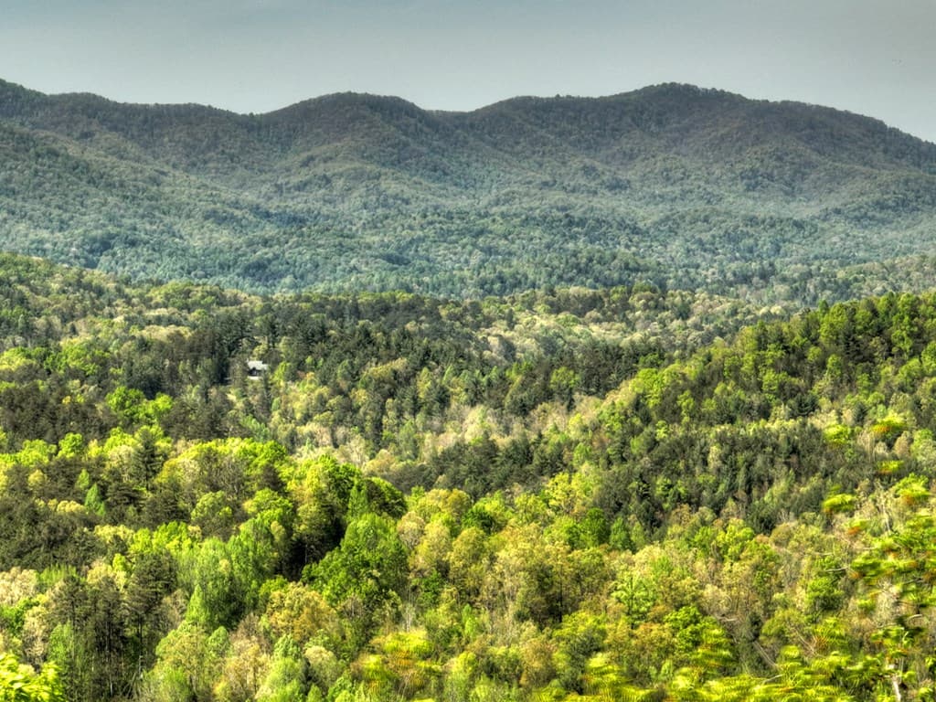 138.06AC N Hwy 515, Ellijay GA 30540 - Photo