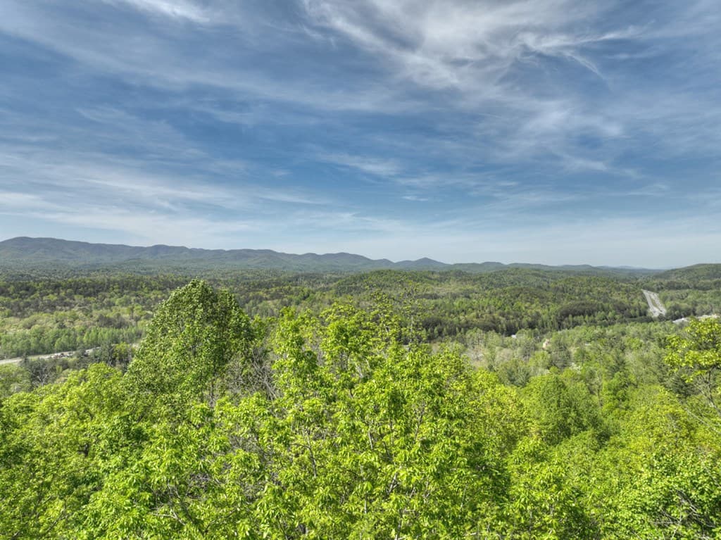138.06AC N Hwy 515, Ellijay GA 30540 - Photo