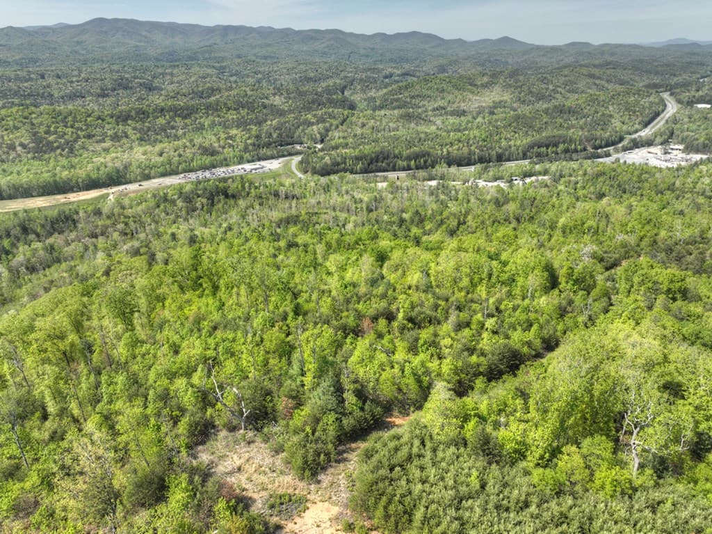 138.06AC N Hwy 515, Ellijay GA 30540 - Photo