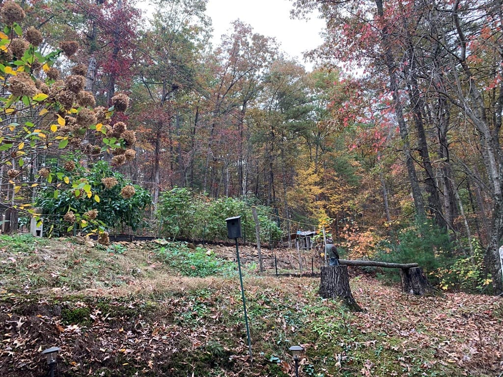 55 Laurel Springs Drive, Murphy NC 28906 - Photo