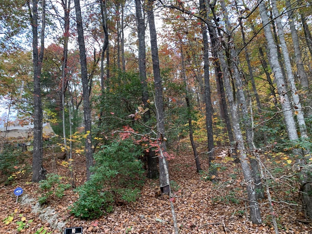 55 Laurel Springs Drive, Murphy NC 28906 - Photo