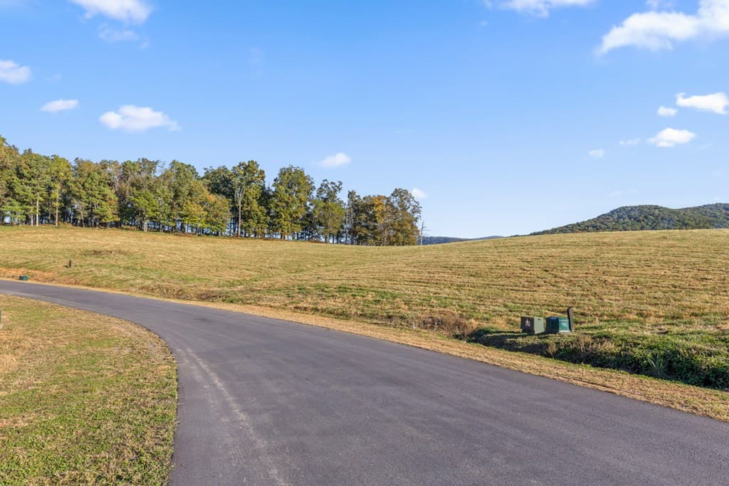 Lot 5 Bravo Way, Talking Rock GA 30175 - Photo