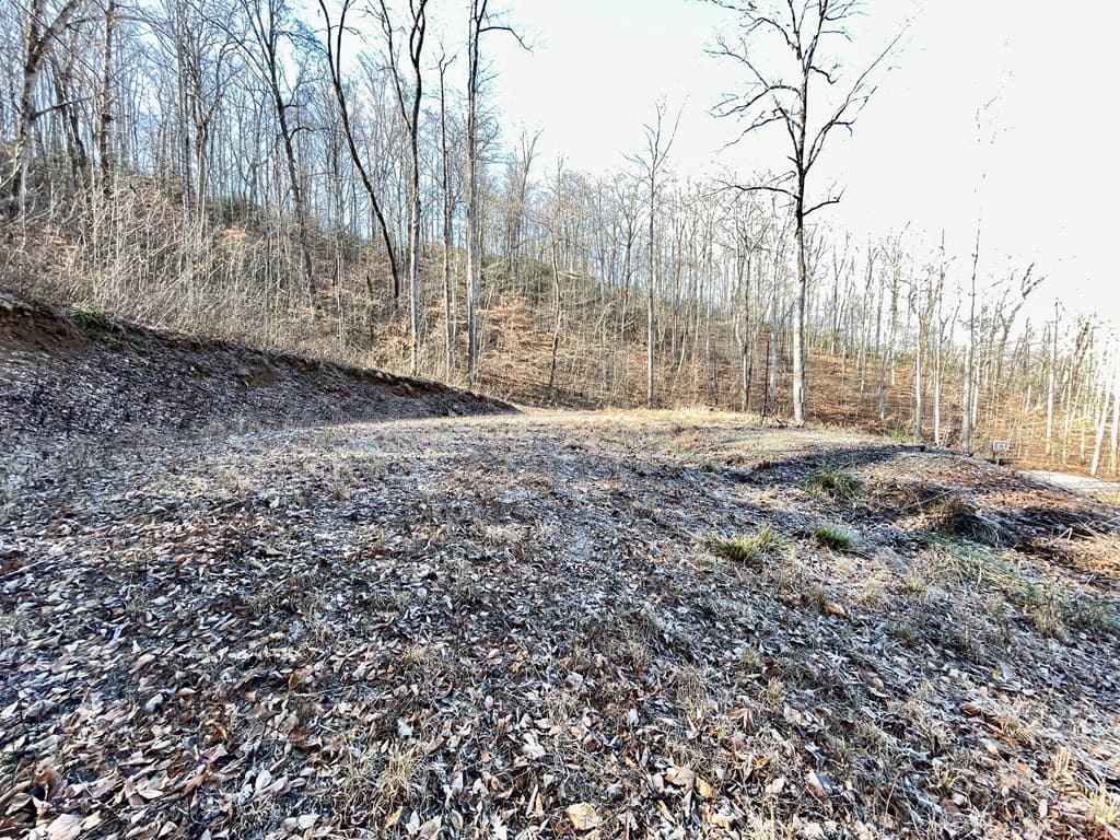 0 E Hwy 64 E, Hayesville NC 28904 - Photo