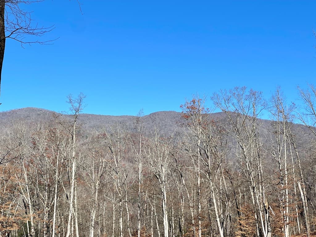 0 E Hwy 64 E, Hayesville NC 28904 - Photo