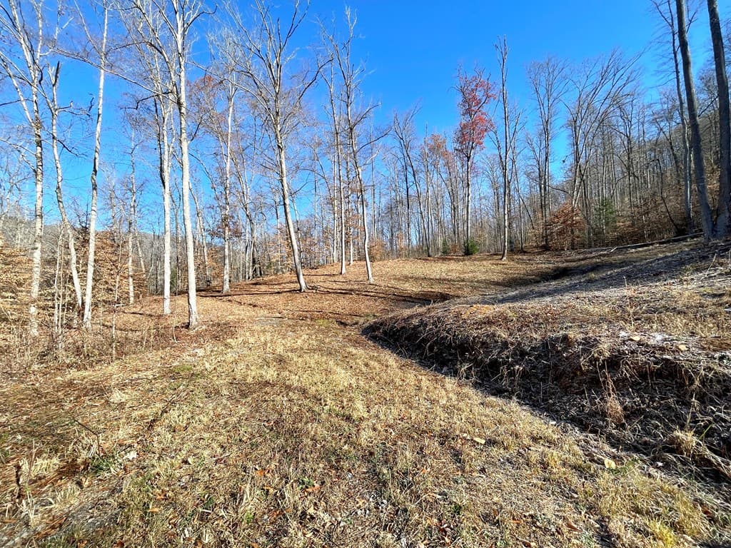 0 E Hwy 64 E, Hayesville NC 28904 - Photo