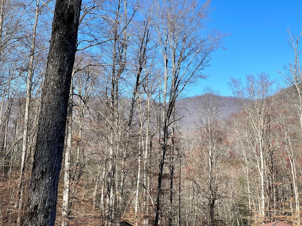 0 E Hwy 64 E, Hayesville NC 28904 - Photo