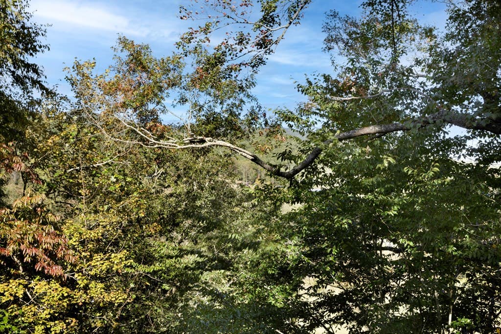 14 Rivendell Drive, Hayesville NC 28904 - Photo